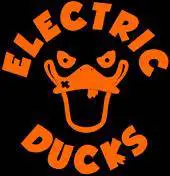 logo Electric Ducks